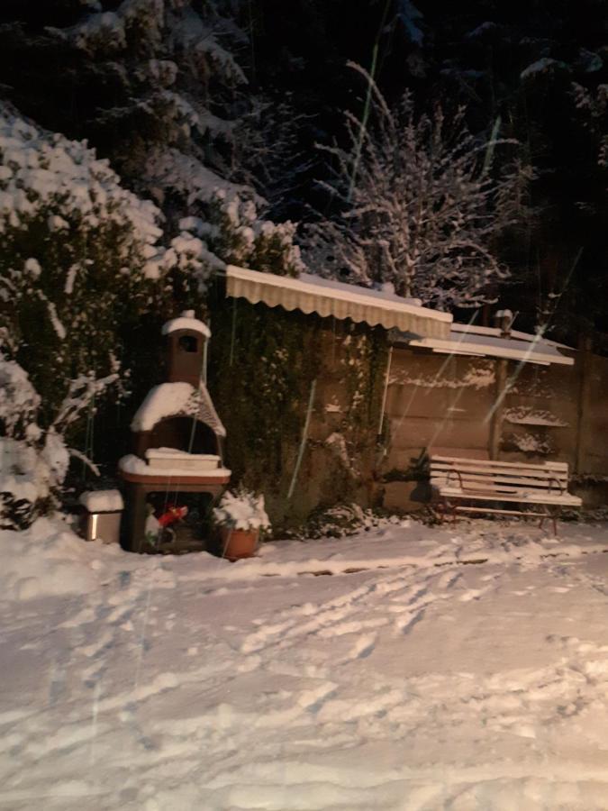 Pensiunea Floare De Colt Sinaia Exteriör bild