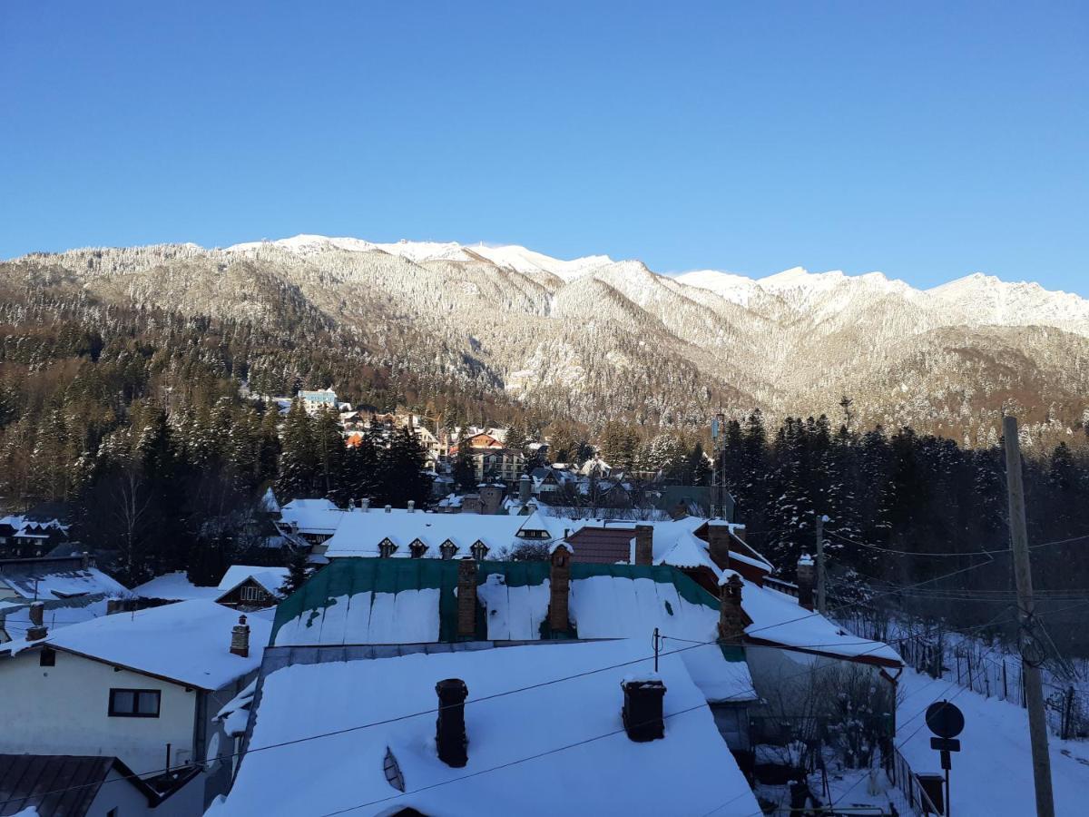 Pensiunea Floare De Colt Sinaia Exteriör bild