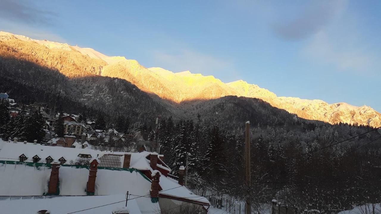 Pensiunea Floare De Colt Sinaia Exteriör bild